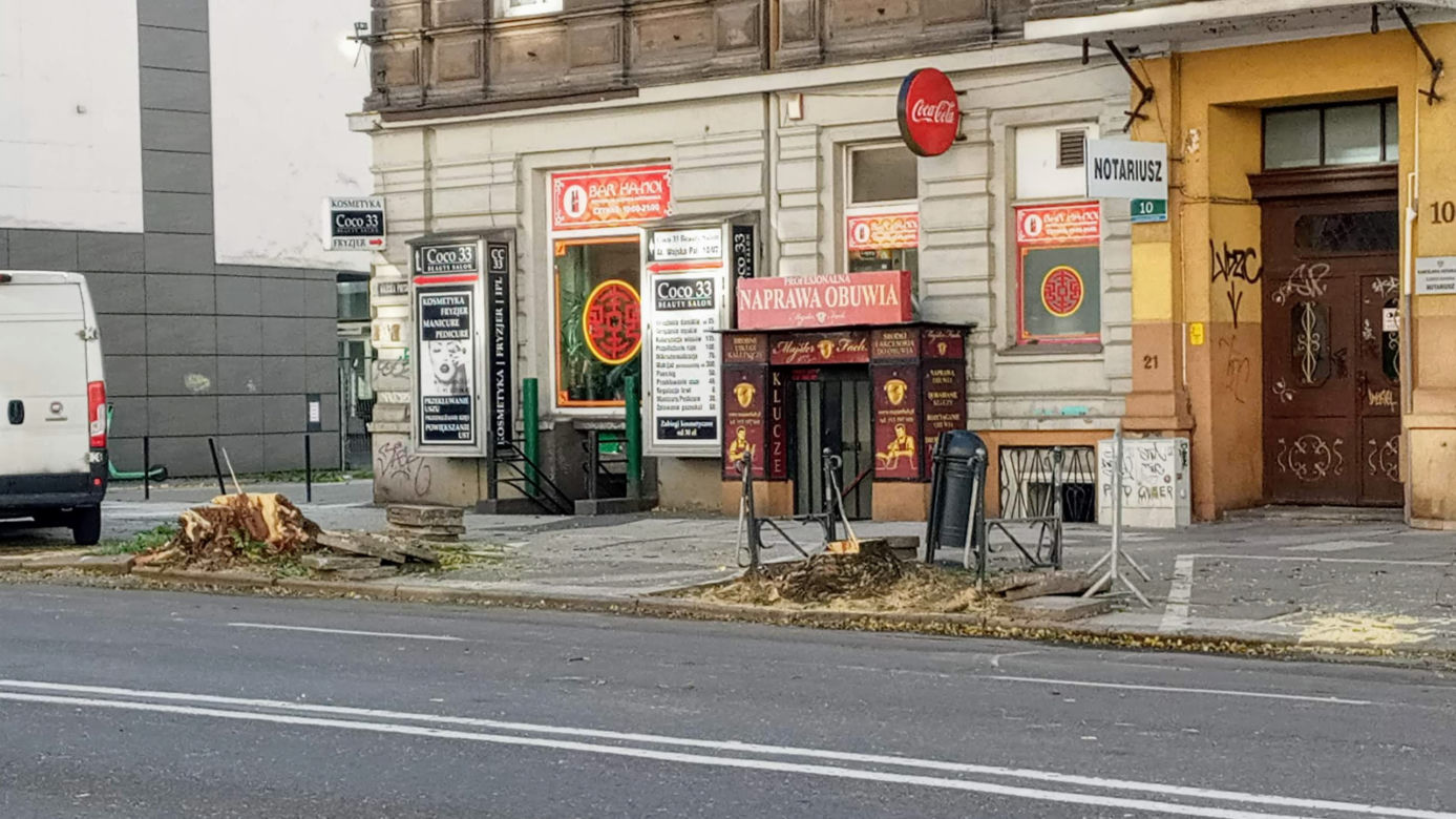 Z alei Wojska Polskiego wycięto kilkanaście drzew