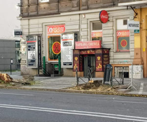 Z alei Wojska Polskiego wycięto kilkanaście drzew
