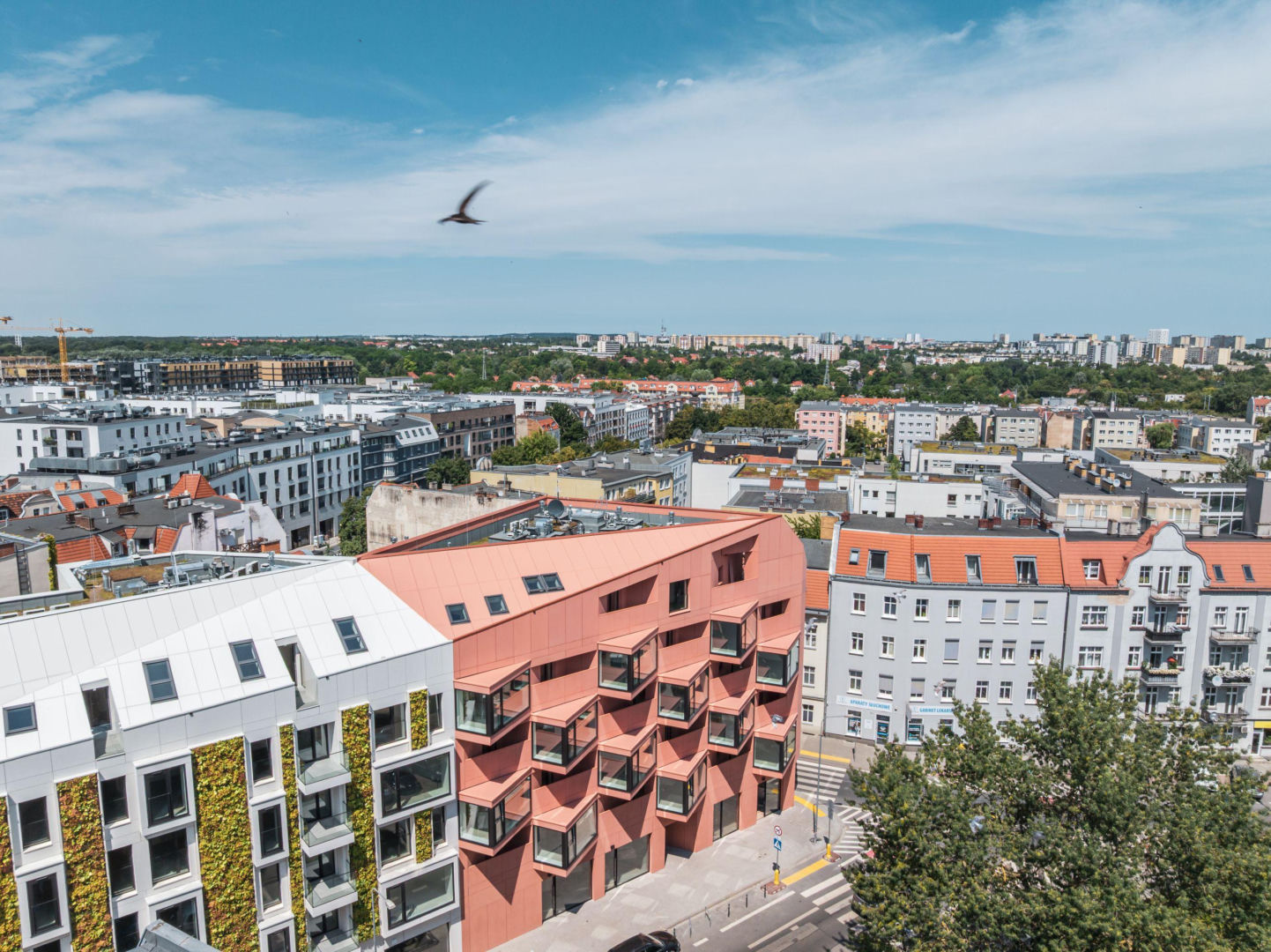 Wąskie Grono. Projekt: pracownia Litoborski + Partnerzy
