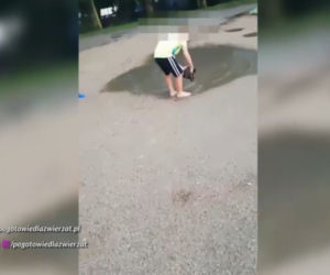 Dramat szczeniaka pod Płockiem