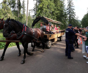 Protesty przeciwko konnemu transportowi nad Morskim Okiem