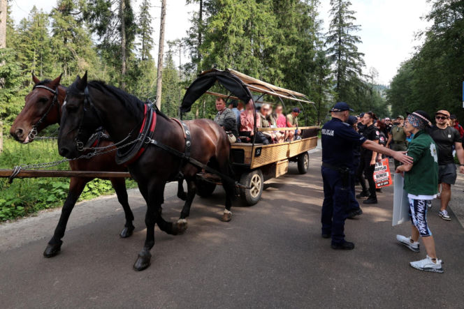 Protesty przeciwko konnemu transportowi nad Morskim Okiem