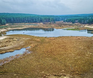 Starachowice 2021