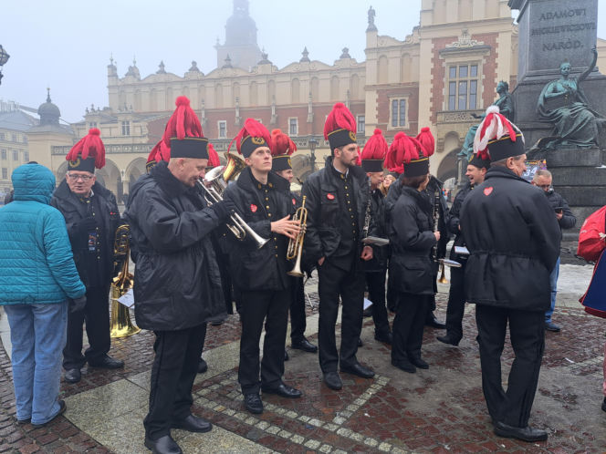 34. finał WOŚP w Krakowie. Golden Retrievery na Rynku Głównym