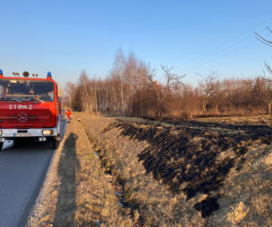 Pożar trawy w Zaczarniu. Nie żyje mężczyzna