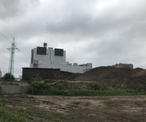 Chorzów: Fetor, hałdy biomasy i plaga owadów. Na mieszkańców spadła FALA nieszczęść!