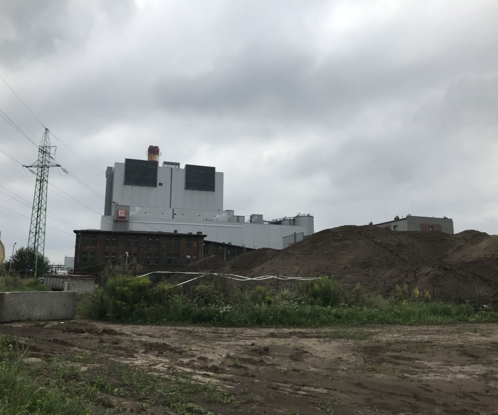 Chorzów: Fetor, hałdy biomasy i plaga owadów. Na mieszkańców spadła FALA nieszczęść!