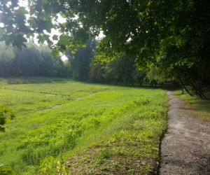 Park Zamkowy i Promenada w Mysłowicach