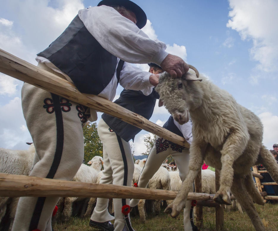 Babiogórska Jesień w Zawoi  