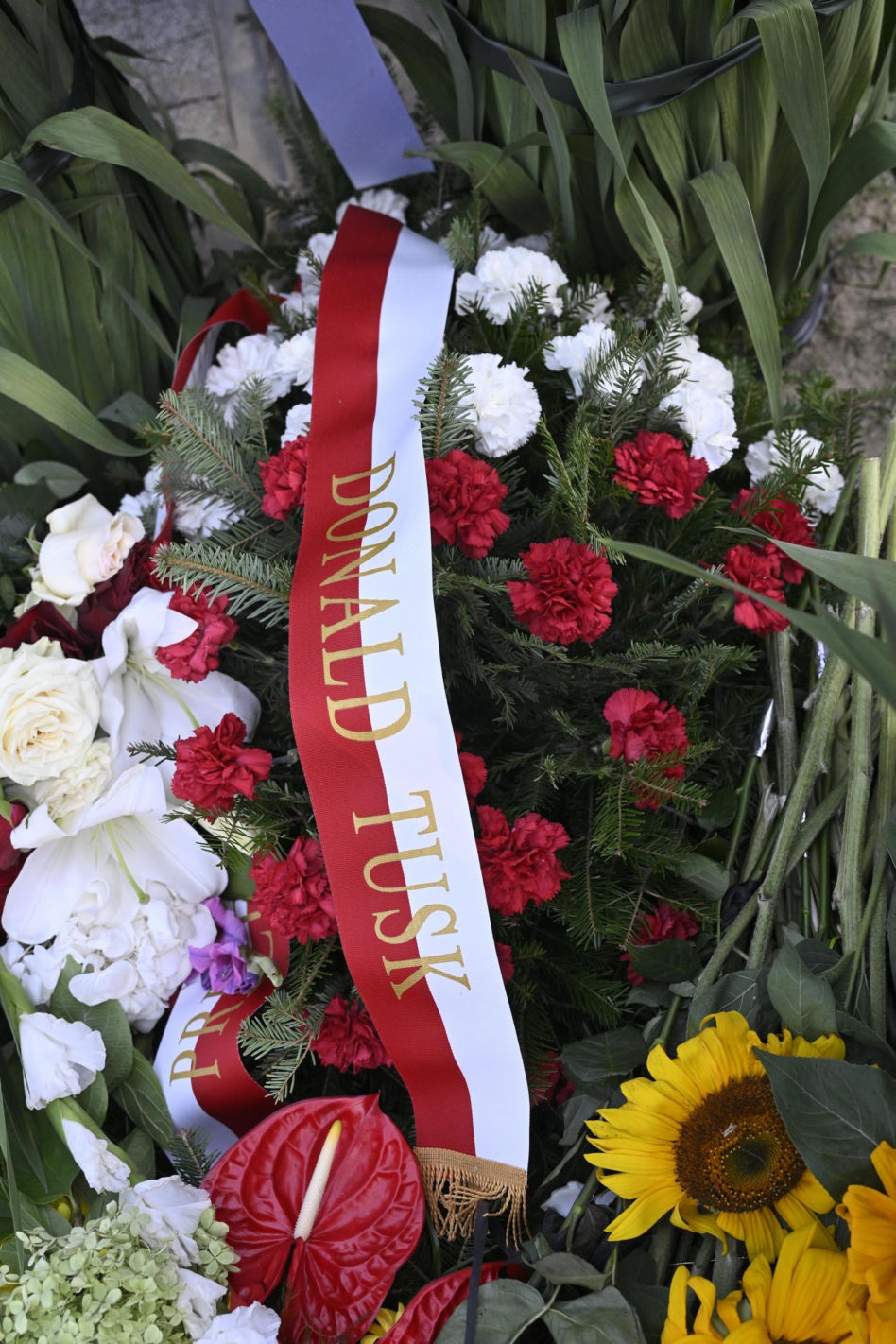 Grób Stanisława Sojki