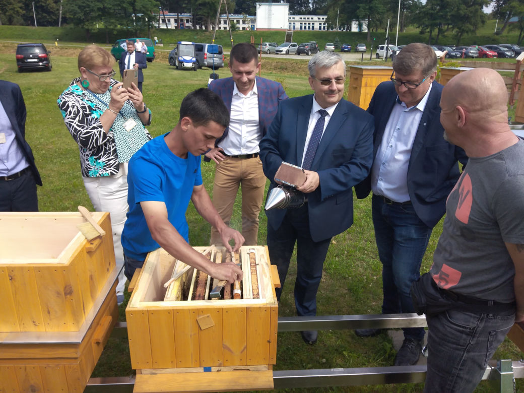 Pół miliona pszczół zamieszkało na terenie ujęcia wody MPWiK w Zwięczycy