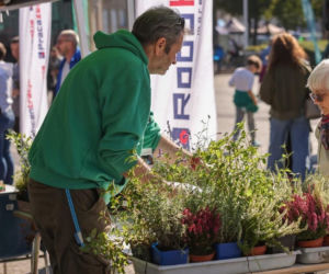 Aglomeracyjny Piknik Komunikacyjny