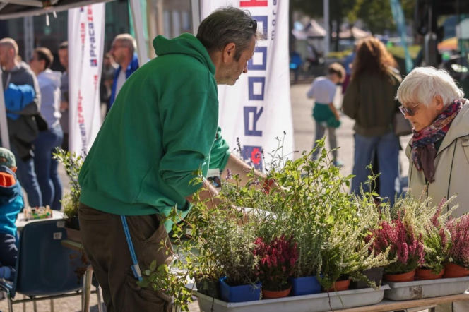 Aglomeracyjny Piknik Komunikacyjny