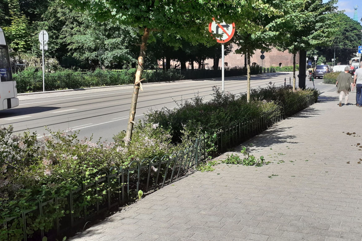 Dorożka jeździła bez woźnicy. O krok od tragedii w samym centrum Krakowa! [ZDJĘCIA]