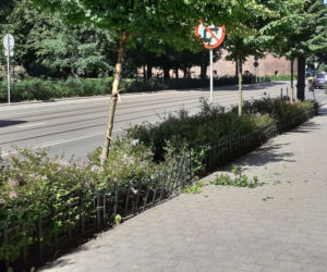 Dorożka jeździła bez woźnicy. O krok od tragedii w samym centrum Krakowa! [ZDJĘCIA]