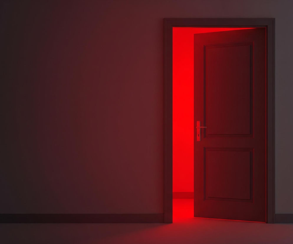 Po prawej stronie obrazu znajduje się częściowo uchylone ciemne drewniane drzwi z szarą ościeżnicą, przez które intensywnie świeci czerwone światło. Światło to tworzy mocny, czerwony blask na podłodze i fragmentach ścian w pomieszczeniu, z którego wyłaniają się drzwi. Reszta pomieszczenia, z którego wychodzą drzwi, oraz ich otoczenie są ciemne i szare, jedynie delikatnie oświetlone czerwonym refleksem.