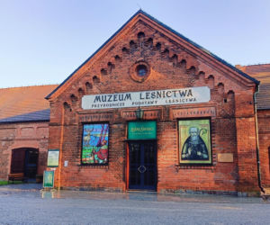 „Leśni Święci” w Gołuchowie. Trwa wystawa i cykl wydarzeń