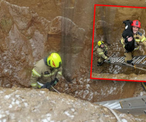 Piesek wpadł do głębokiego wykopu. Bohaterscy strażacy natychmiast ruszyli z pomocą