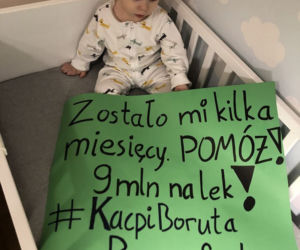 Kacpi Boruta pomocy szuka