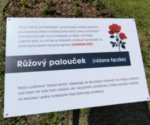 Święto patrona ANS w Lesznie