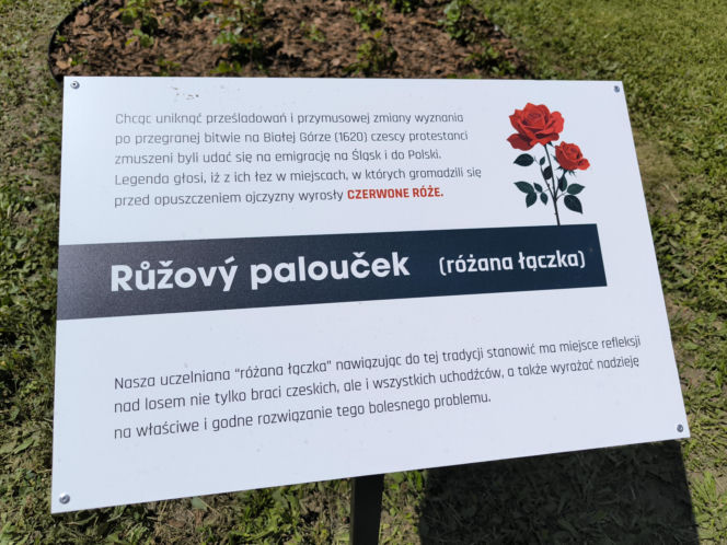 Święto patrona ANS w Lesznie