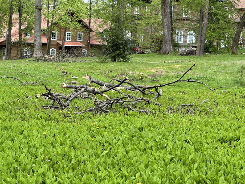 Miesiąc po wichurze, odwiedziliśmy miejsce tragedii w Rabce-Zdroju. Oto, co zobaczyliśmy