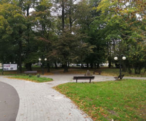 To największe miasto w Polsce, którym nie rządzi prezydent. Znajduje się na Śląsku