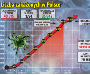 Koronawirus w Polsce. Wykresy, grafiki, statystyki (6 sierpnia)
