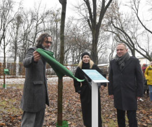 Powstańcy zapuścili korzenie. 20 drzew dla bohaterów w parku na Woli