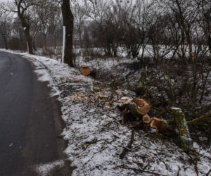 Śmiertelny wypadek Trzebczu Szlacheckim. Nie żyje 37-letni kierowca, który nie miał prawa jazdy