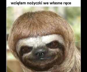 Fryzjerzy kontra koronawirus. Te memy bawią do łez