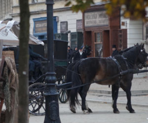 Siedlecki Helios zaprasza na Kino Kobiet z filmem „Lalka”