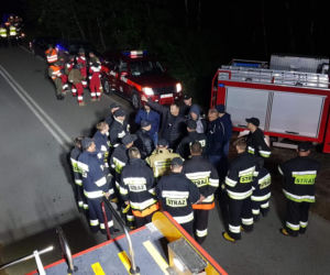 W podbydgoskim lesie zaginął grzybiarz 