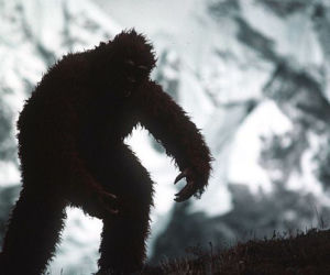 yeti