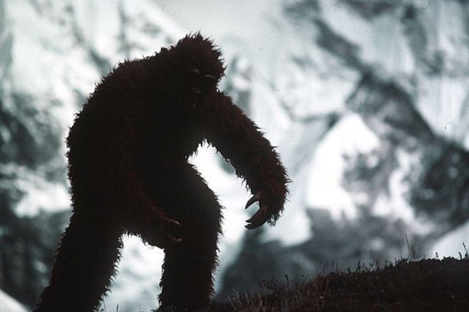 yeti