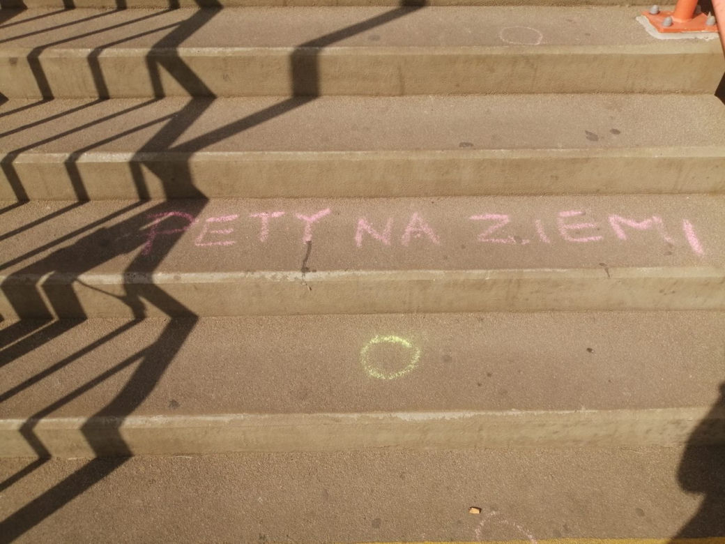 Akcja "Pety na ziemi" w Poznaniu