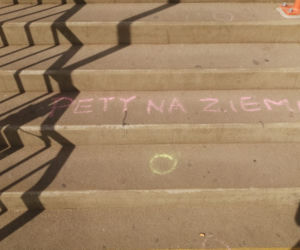 Akcja Pety na ziemi w Poznaniu