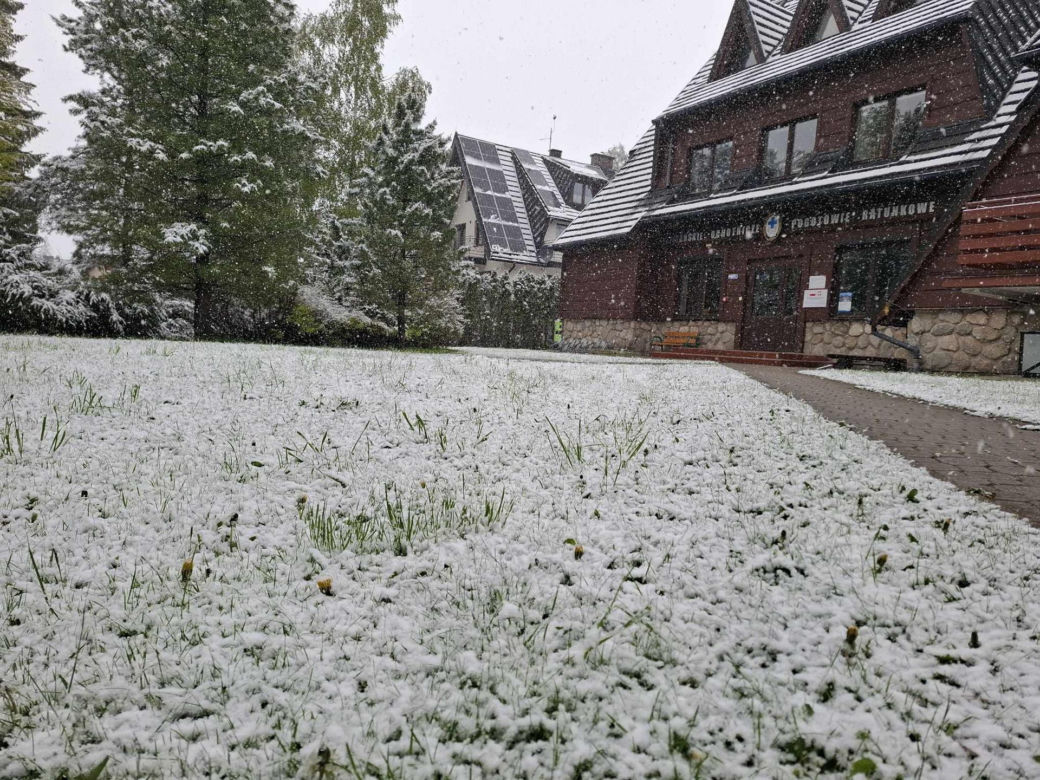 Atak zimy w maju. Śnieg w Zakopanem