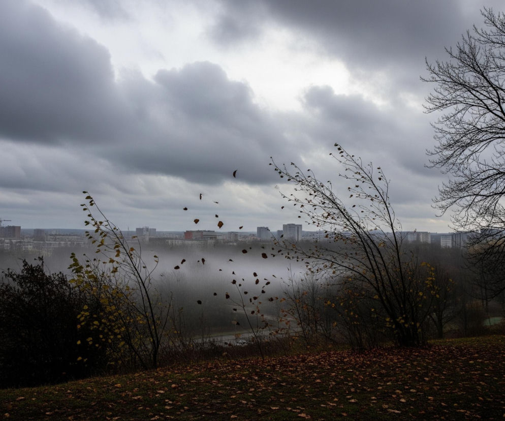 Widoczna jest panorama miejska w szarym, pochmurnym dniu, z widocznymi budynkami i drzewami. Na pierwszym planie, w dolnej części kadru, znajduje się trawiasty teren pokryty opadłymi, brązowymi liśćmi. W środku kadru, na zboczu wzniesienia, rosną krzewy i młode drzewa z nielicznymi, żółto-brązowymi liśćmi, a kilka liści unosi się w powietrzu, sugerując wietrzną pogodę. W oddali, za mglistą doliną, rysują się kontury wysokich budynków miejskich pod ciemnym, deszczowym niebem. Po prawej stronie kadru dominuje potężne, bezlistne drzewo z rozłożystymi gałęziami, częściowo zasłaniające niebo.