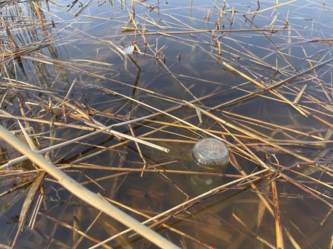 Siedleccy wędkarze chcą posprzątać okolice zalewu. Pomożecie?