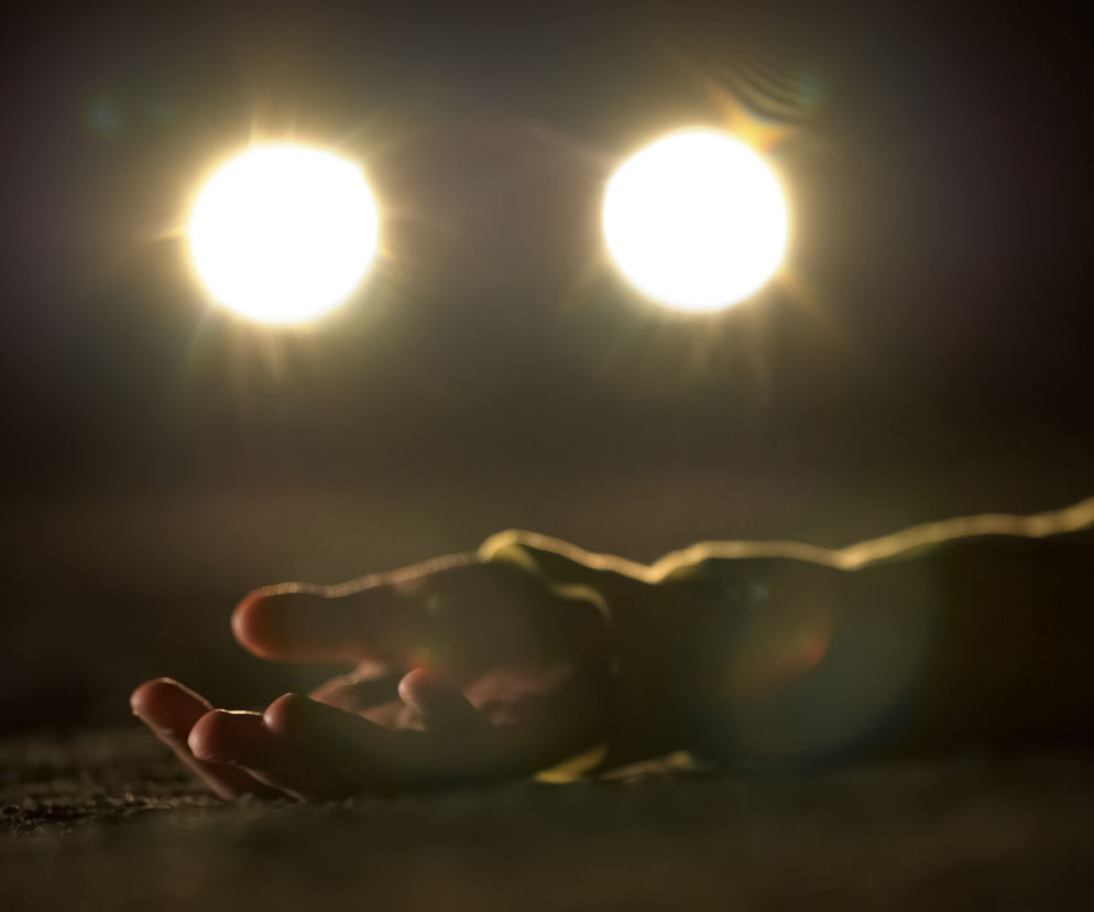 Tragiczna śmierć młodej kobiety. Jej zwłoki leżały w krzakach! Sprawca odnaleziony?! 