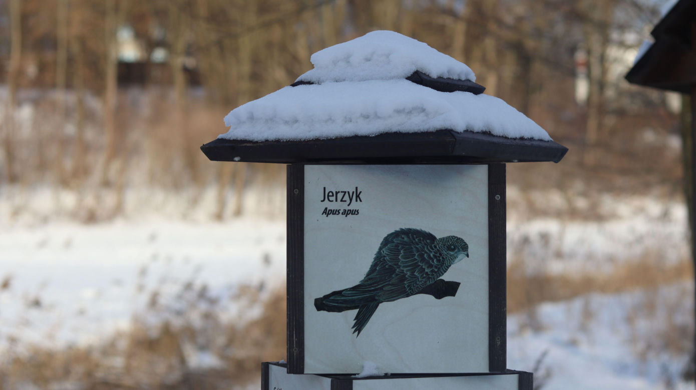 Cicho i wszędzie biało. Tak prezentuje się skansen w Lublinie w zimowej odsłonie! [GALERIA]