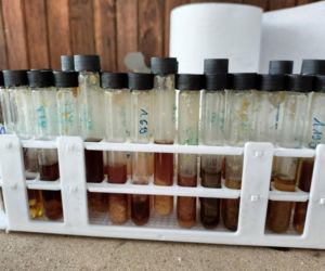 Wynajął mieszkanie chemikowi z Armenii. Ten urządził w nim fabrykę mefedronu!