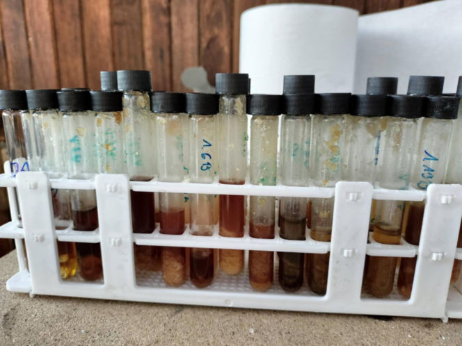 Wynajął mieszkanie "chemikowi" z Armenii. Ten urządził w nim fabrykę mefedronu!