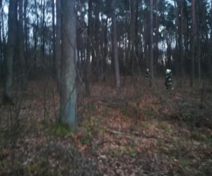 ZWŁOKI starszego mężczyzny znalezione w lesie! Był poszukiwany przez rodzinę