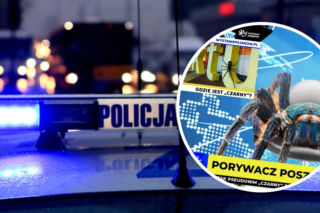Łódź. Ktoś ukradł wielkiego pająka - wizytówkę wystawy w Manufakturze! Jest nagroda