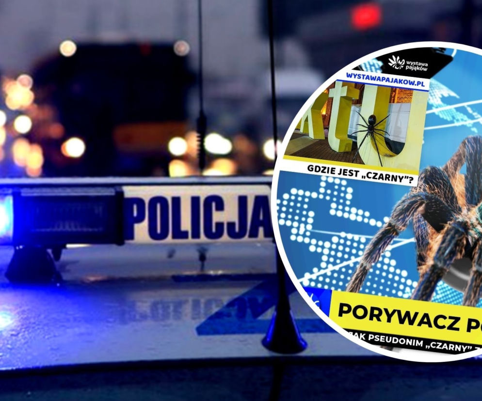 Łódź. Ktoś ukradł wielkiego pająka - wizytówkę wystawy w Manufakturze! Jest nagroda