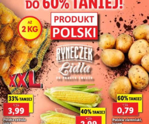 Super promocje  w Lidlu