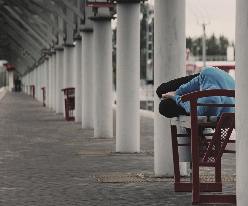 W razie przymrozków - jest gdzie się ogrzać 