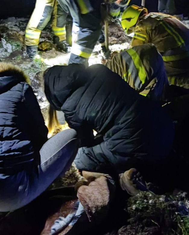 Maleństwo zaklinowało się w bobrzej norze. Wcześniej ktoś wyrzucił szczeniaki w szczerym polu